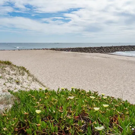 Ofir By Minho's Guest