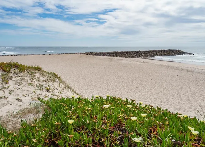 Ofir By Minho's Guest